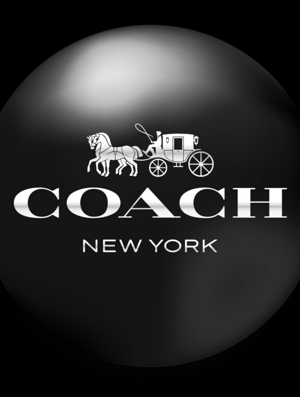 Coach Gift Bags (2) - Picture 5 of 6